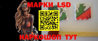 индика Гусев