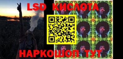 индика Гусев