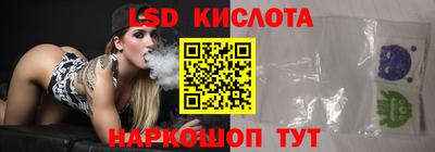 индика Гусев