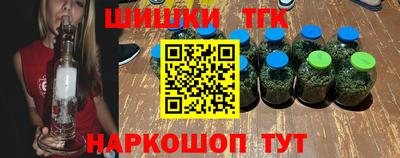 индика Гусев