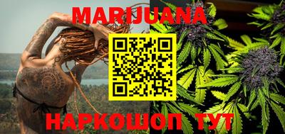 индика Гусев
