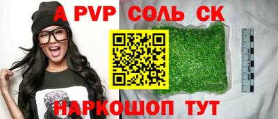 индика Гусев