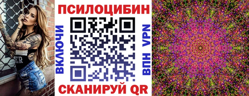Галлюциногенные грибы Psilocybine cubensis  KRAKEN вход  Нижний Новгород 