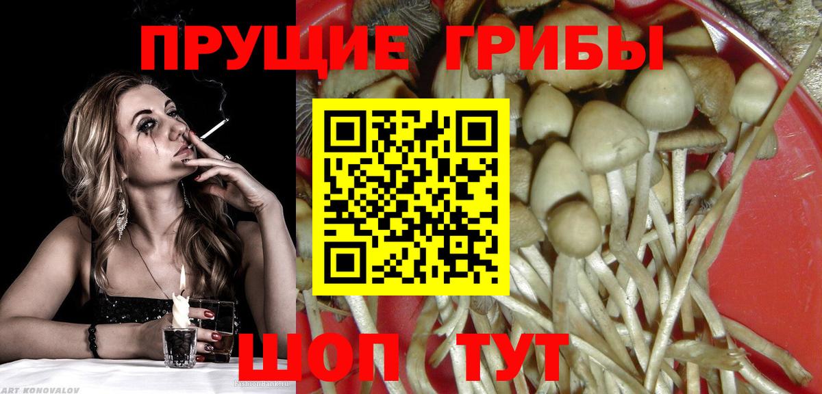 Галлюциногенные грибы прущие грибы  Вход с VPN  Галлюциногенные грибы мицелий  Нижний Новгород 