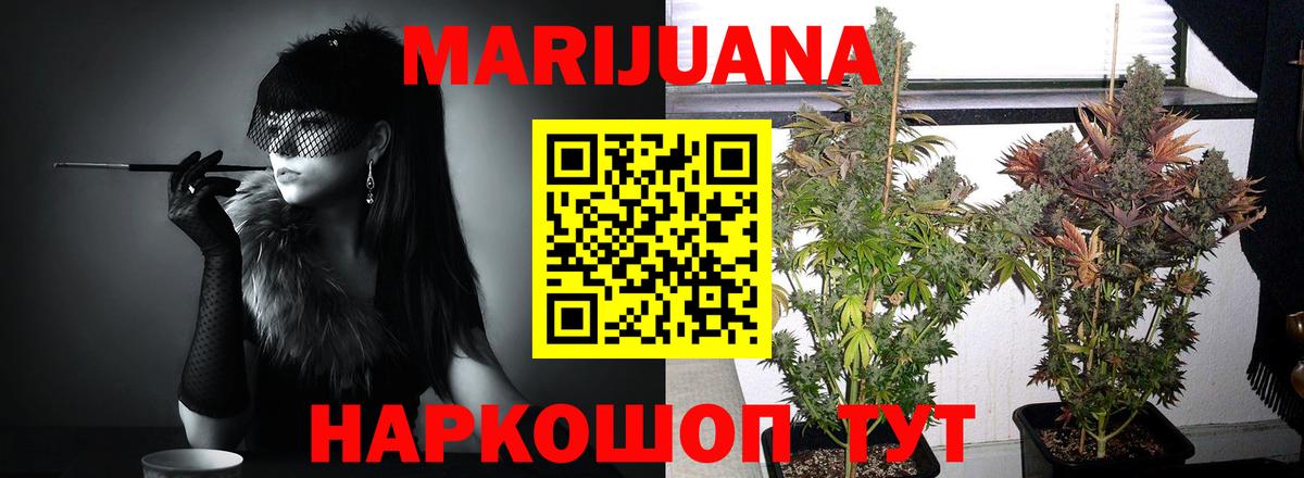 Бошки марихуана White Widow Нижний Новгород