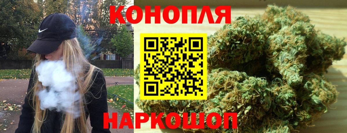 Шишки марихуана план  Вход с VPN  Бошки марихуана Bruce Banner  Шишки марихуана Bruce Banner  Нижний Новгород 
